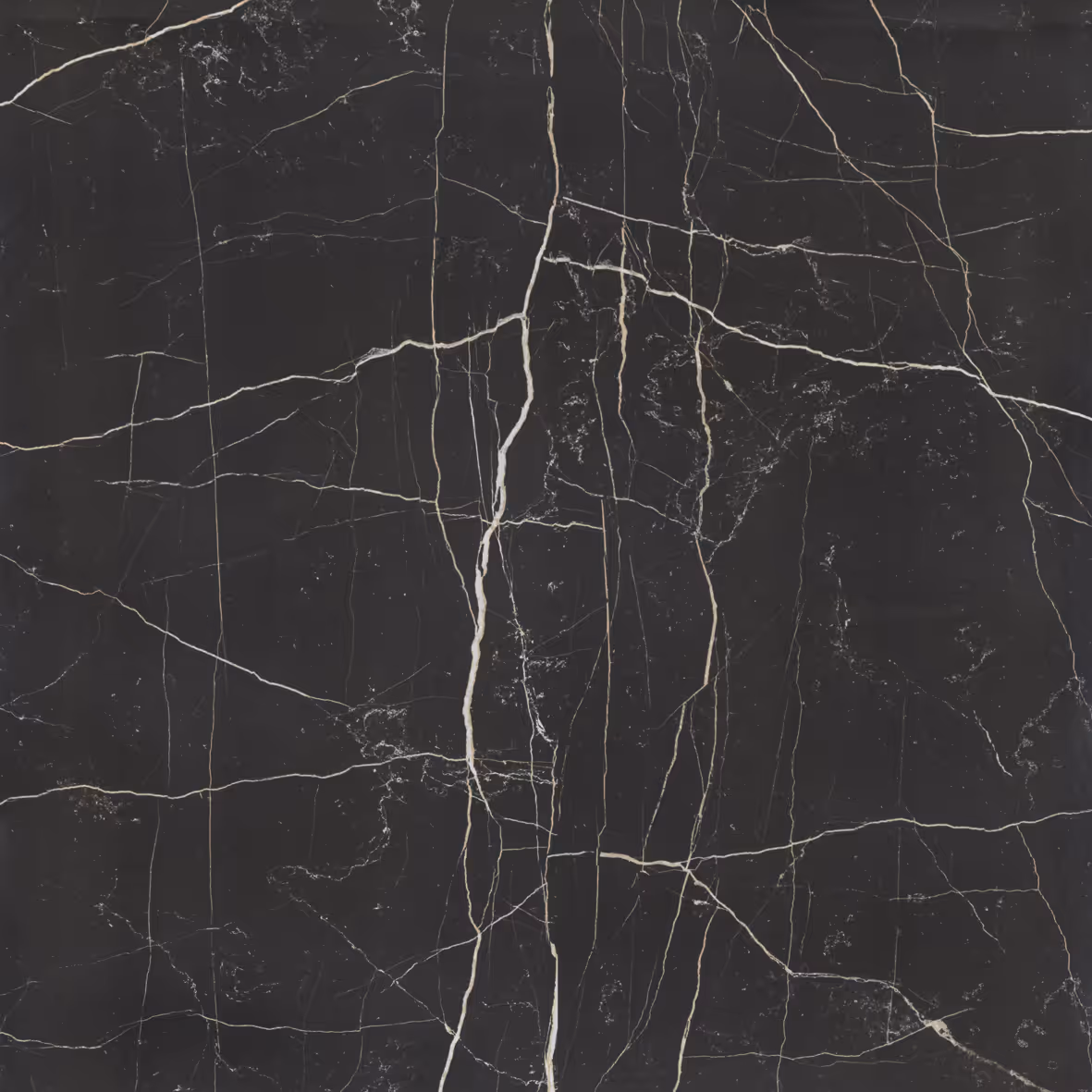 Nero Venato Silk - Vista 4