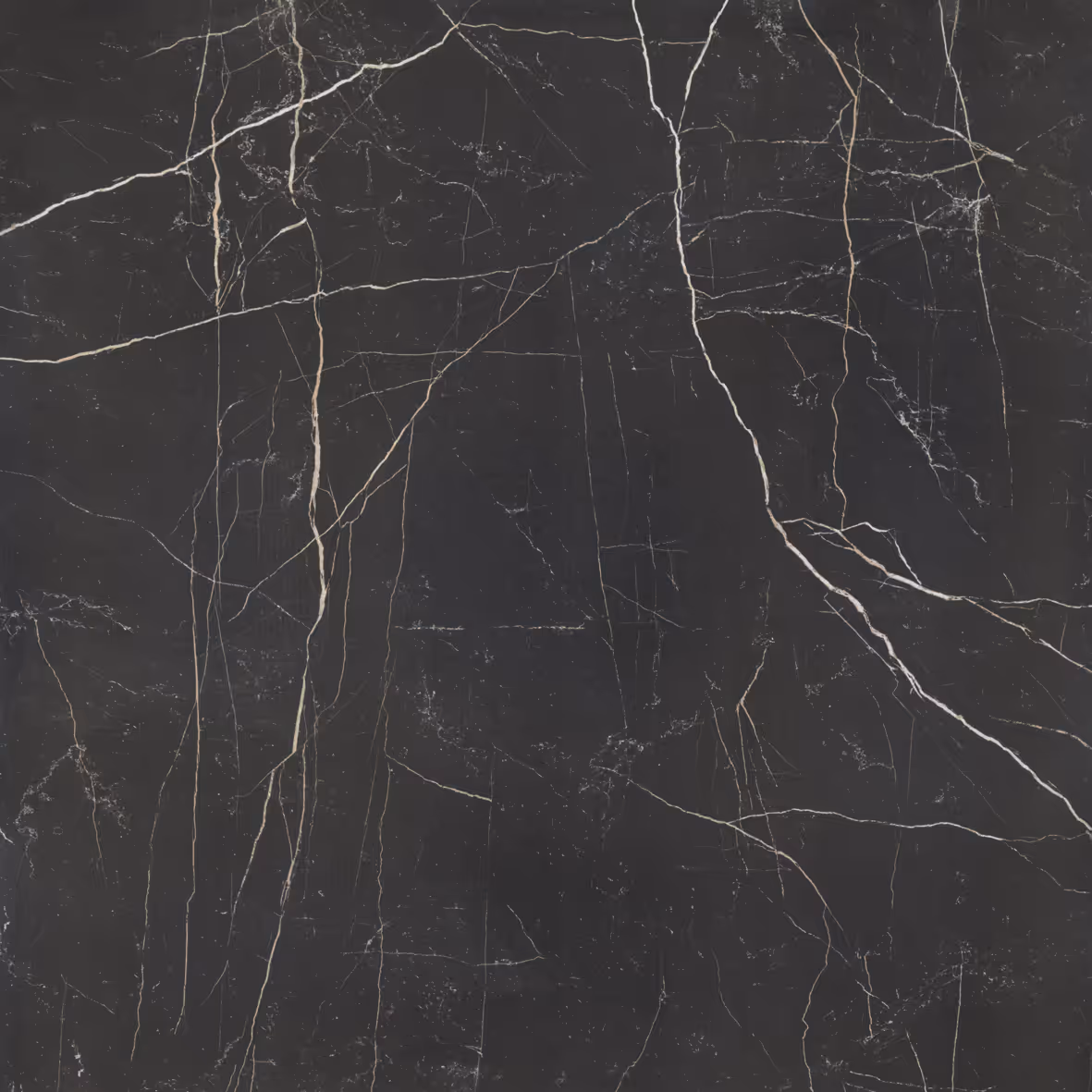 Nero Venato Silk - Vista 6