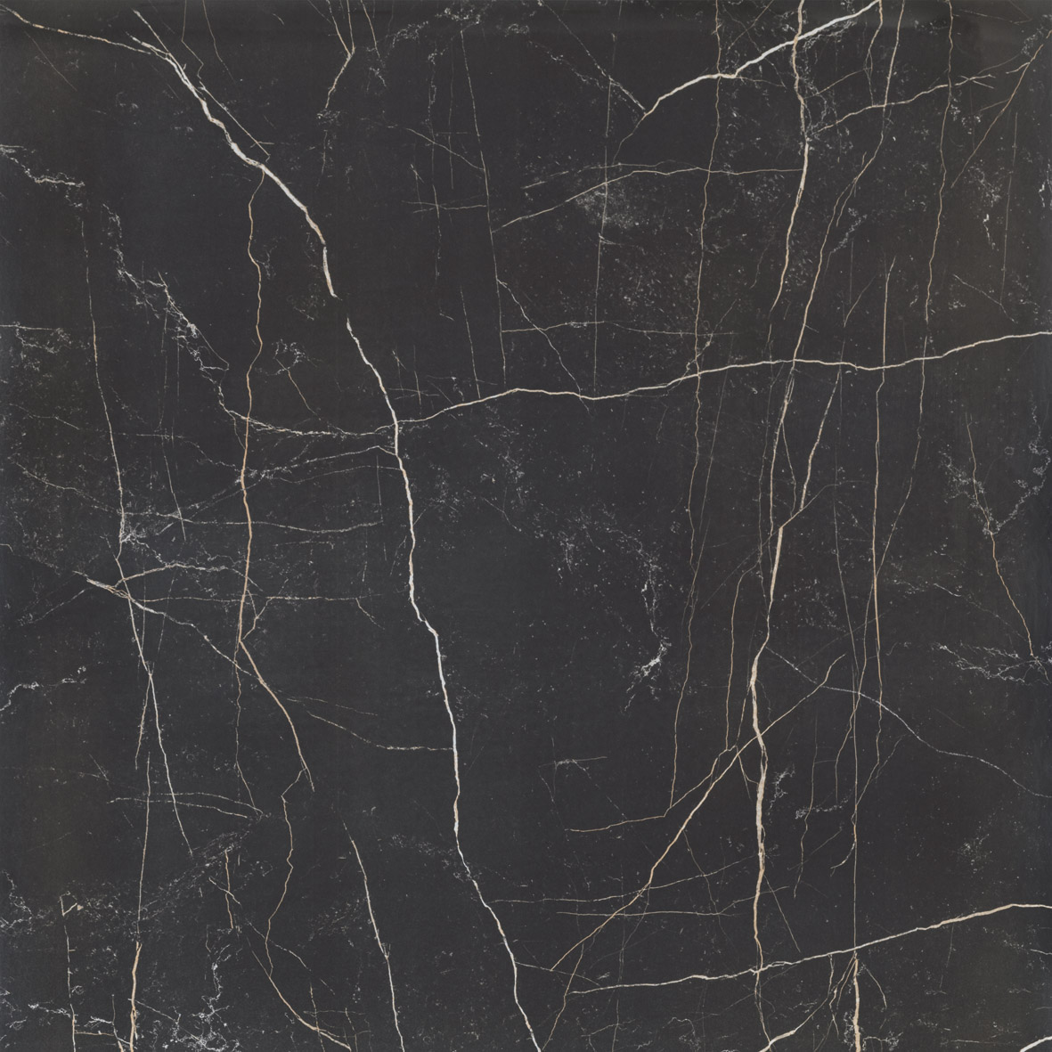 Nero Venato Silk - Vista 3