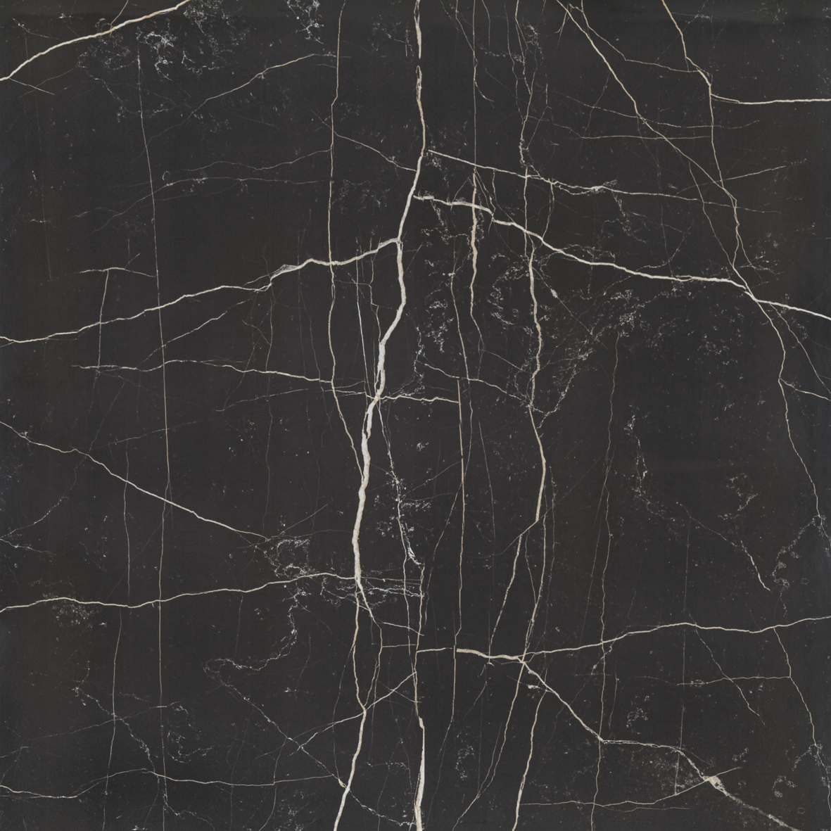 Nero Venato Silk - Vista 4