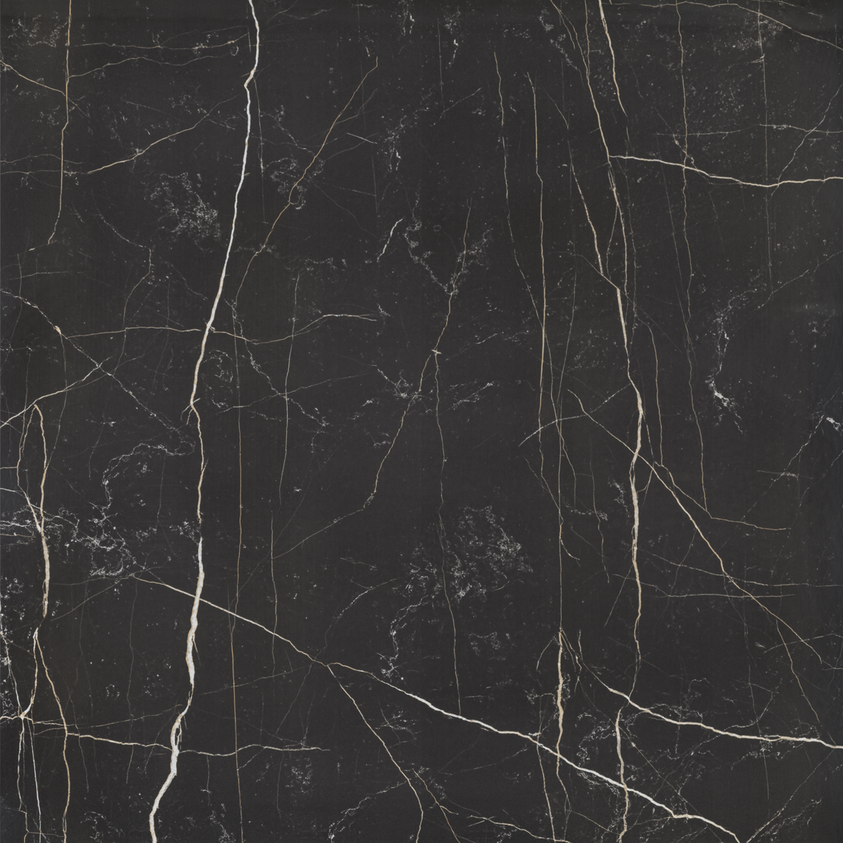 Nero Venato Silk - Vista 5