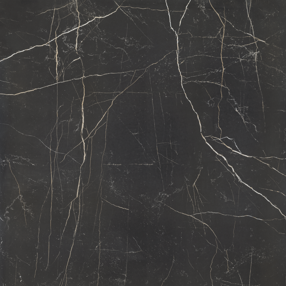 Nero Venato Silk - Vista 6